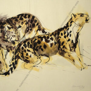 Heumesser, Kurt (1929) Zwei Leoparden Aqua/Ingres sign.dat.1977