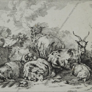 Gottlieb F. Riedel (1724 - 1784) Schafe und Ziegen Radierung um 1770