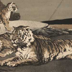 Neuenborn, Paul (1866 - 1913 ) - Tiger - Orig.Farblitho / Pap.